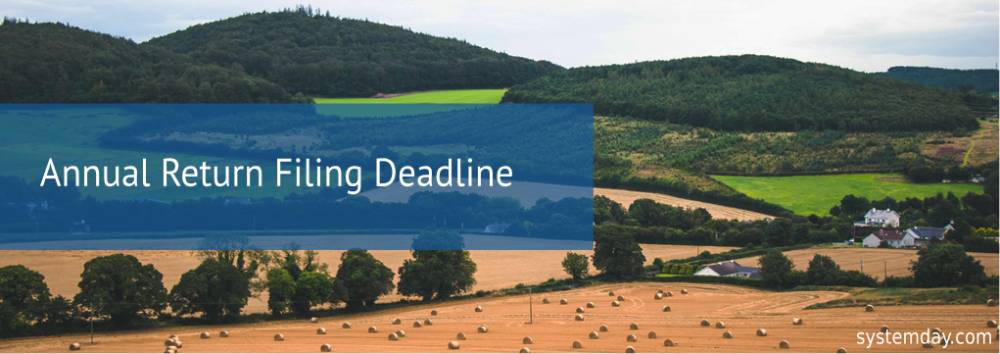court application when you miss your annual return deadline