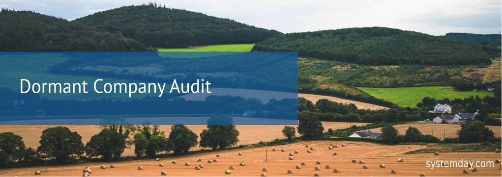 Ireland Audit
